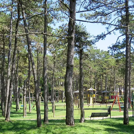 Appartamento Parco Hemingway-17 By Interhome *